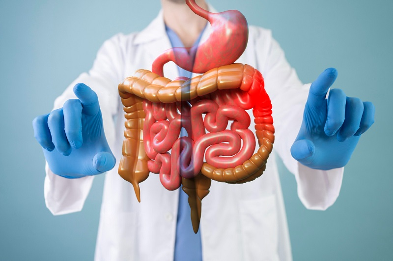 GI Surgery