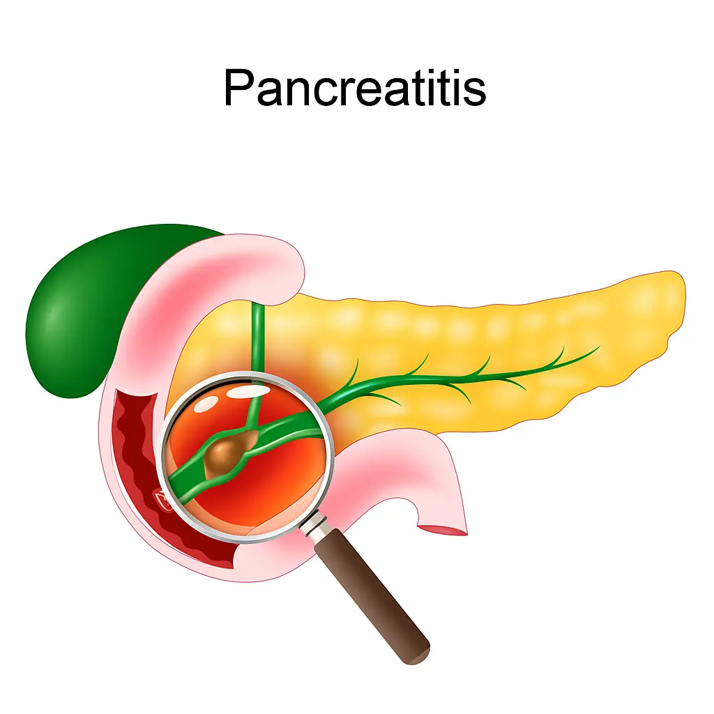 Chatgpt image sep 6, 2025, 06 35 45 pm