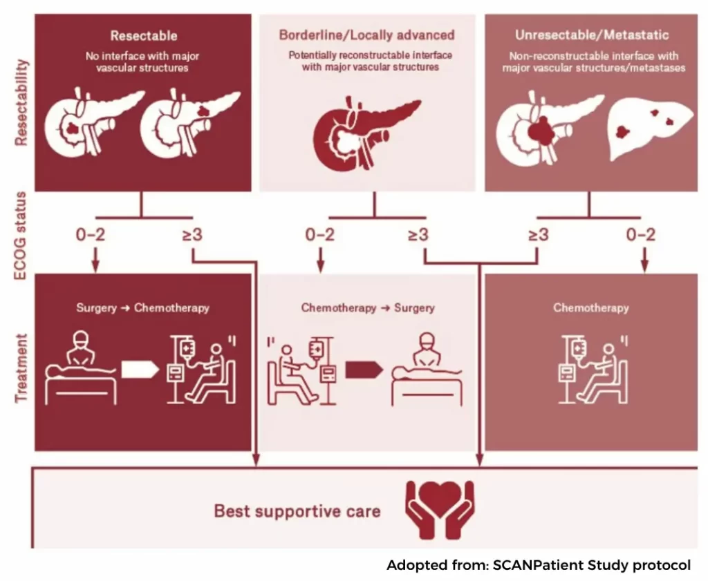 Cream colorful abstract flowchart infographic chart
