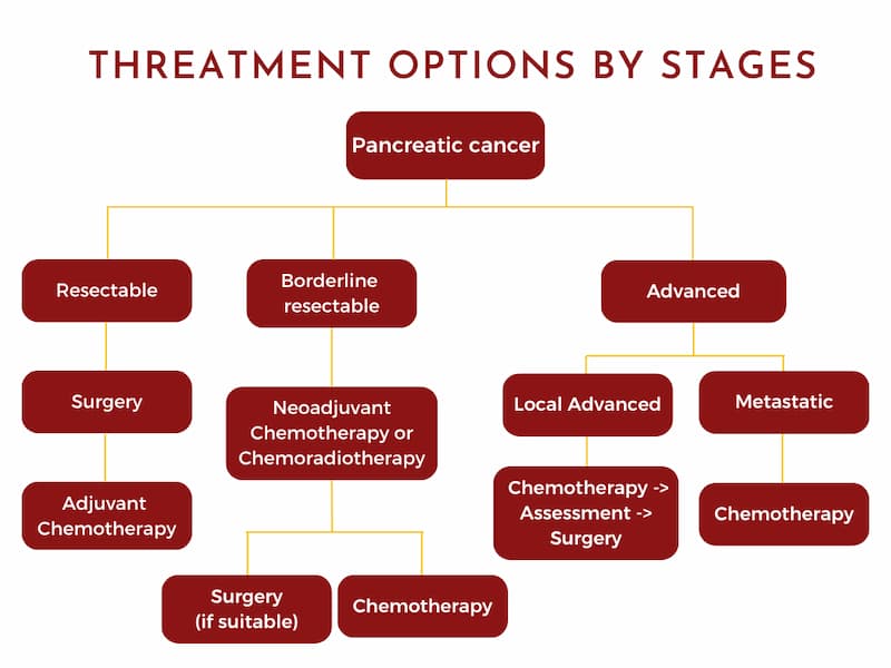 Cream colorful abstract flowchart infographic chart (1)