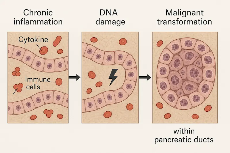 Chatgpt image nov 4, 2025, 06 51 08 pm