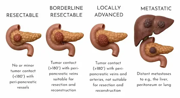 WhatsApp Image 2025 11 15 at 17.39.38 270ccf91