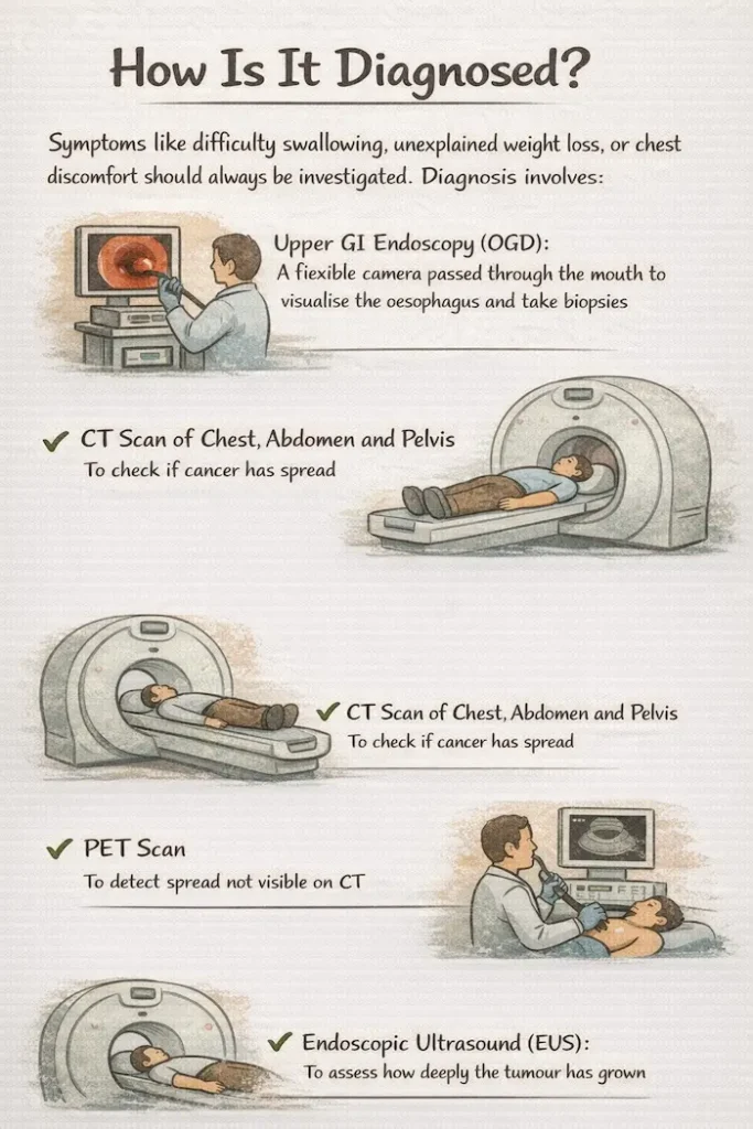 ChatGPT Image Feb 21, 2026, 05 21 31 PM