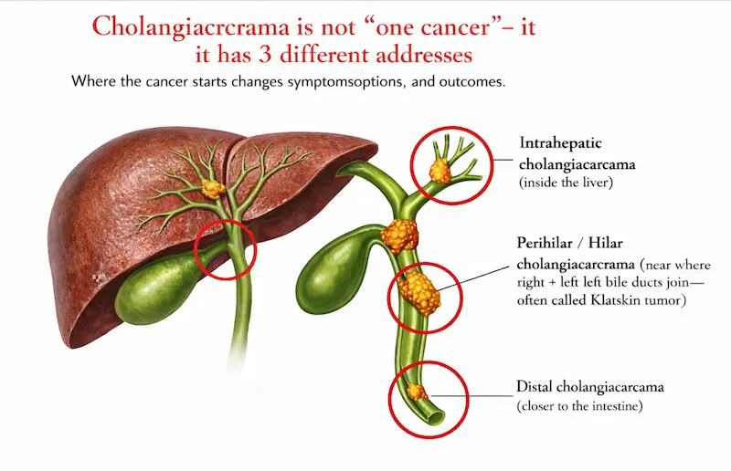 The whole story of alcohol damage (7)